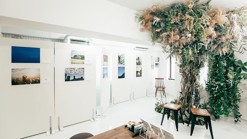 部屋全体を展示会場として使えます！